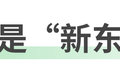 转向 刹车都“断开”?线控底盘能用吗?
