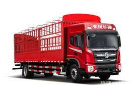 东风华神T5 6.75米仓栅载货车直降8000