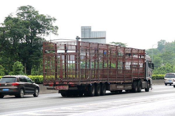 广州高速调研：17米5大板车不常见，但违规率接近90%！