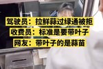 拉大蒜过绿通被拒 原因竟是没带叶子？