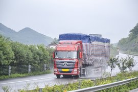 炎炎夏季气候多变 如何保证货物安全？这三大风险不容忽视！