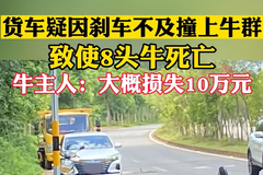 ����ײţ��ʧ��10�� ���ǮӦ��˭����?