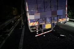 ����������̥���伱ͣ ��ײ��2��1��