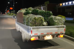 �ߵ��������� ����;��T5CNG����������