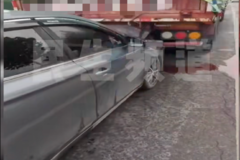 ��������ͨ�Ⱥ�Ʊ�׷β ����������