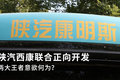 陕汽康明斯正向开发 两大王者意欲何为