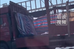 ����·��ɹ��ɣ����㳵ʧ�����������