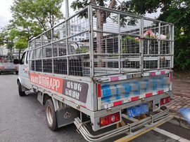 又查获多起非法改装！为何屡禁不止？不要让货车成了“祸”车