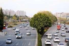 六折优惠!四川出台集装箱运输车通行费减免政策