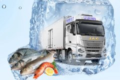 ��ҫ����1������2023����з��һĨ��