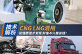 CNG LNG ɶԭ ԭֹʡǮ