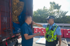 4000�˷������� ����˾�����������̾�?