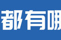 电机技术升级！扁线电机+碳化硅控制器