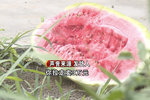运输33吨西瓜被拒收 15500运费打水漂?