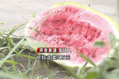 ����33�����ϱ����� 15500�˷Ѵ�ˮƯ��