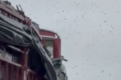 �˷䳵���ٲ෭ ����ֻ�۷�Ұ�����