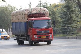 东南西北中市占上牌观察室丨西安城际-9 西北地区还得看东风！