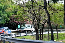1万多运费被踢皮球 货车司机就活该被骗？