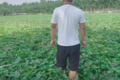 东风小霸王W15 带他踏上丰收后的坦途
