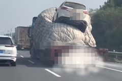 ������С����󳵣����ѣ�������������