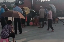 结什么仇了？广东阳江一货车被村民拦下无法出入 司机称已停那3天了