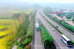 28.51��!���ӥ;���ż�����Ӫ��������