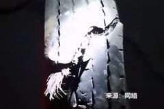 ���ٻ�����̥Ҫ2500! ������˾����תǮ