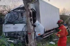 �����³�δ����ɲ���Գ�ײ�������վ���