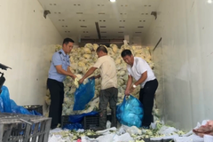 ɽ�������㽭�෭ 14000�ﻨ�˱����