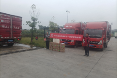 �������ͳ��������Ӵ��˫ʮһ����ս