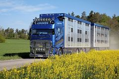 ��ŷ����θ㶨��ͨ��������? �������