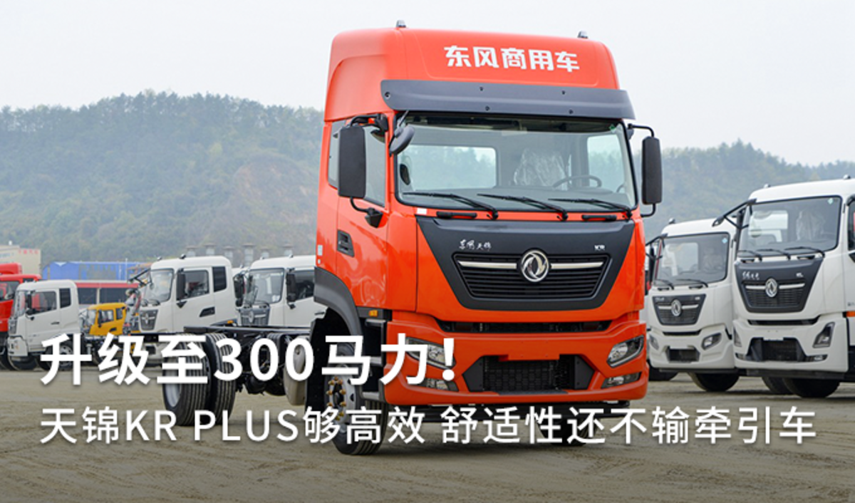 ������300�������������KR&nbsp;PLUS����Ч