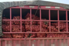 ����������ר�ҽ������������ͨ���շ�