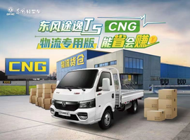 东风途逸T5 CNG物流专用版 超会省、超能拉