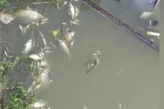 ����¦��һΣ��Ʒ��й¶ ������ҹ����