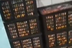 ���վǿ��ж8������ ��ʣ4���ɱ���