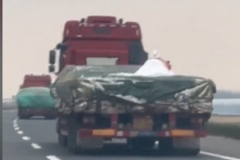 ͯ��ʮ�㣡һ�㽭����������һ��ѩ��