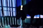 甘肃地震 一卡车司机救了村里所有牛!