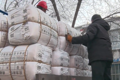 �ж���ɽ������Ҫ�Ͻ��������͵�������