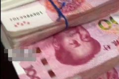 ��Ƿ����31���ʣ�����������ڱ�ץ��