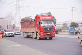 东南西北中市占上牌观察室丨成都上牌12 LNG占比居高不下