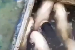 ���������Ϊ����ծ����˾����ƭ������