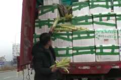 ��ǧ�˷���˭�᣿����10���۲��޷�ж��