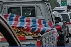 ������ٴ�³�������ߺ�����˰복�ָ�