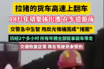 货车侧翻18头猪高速闲逛 交警机智制服