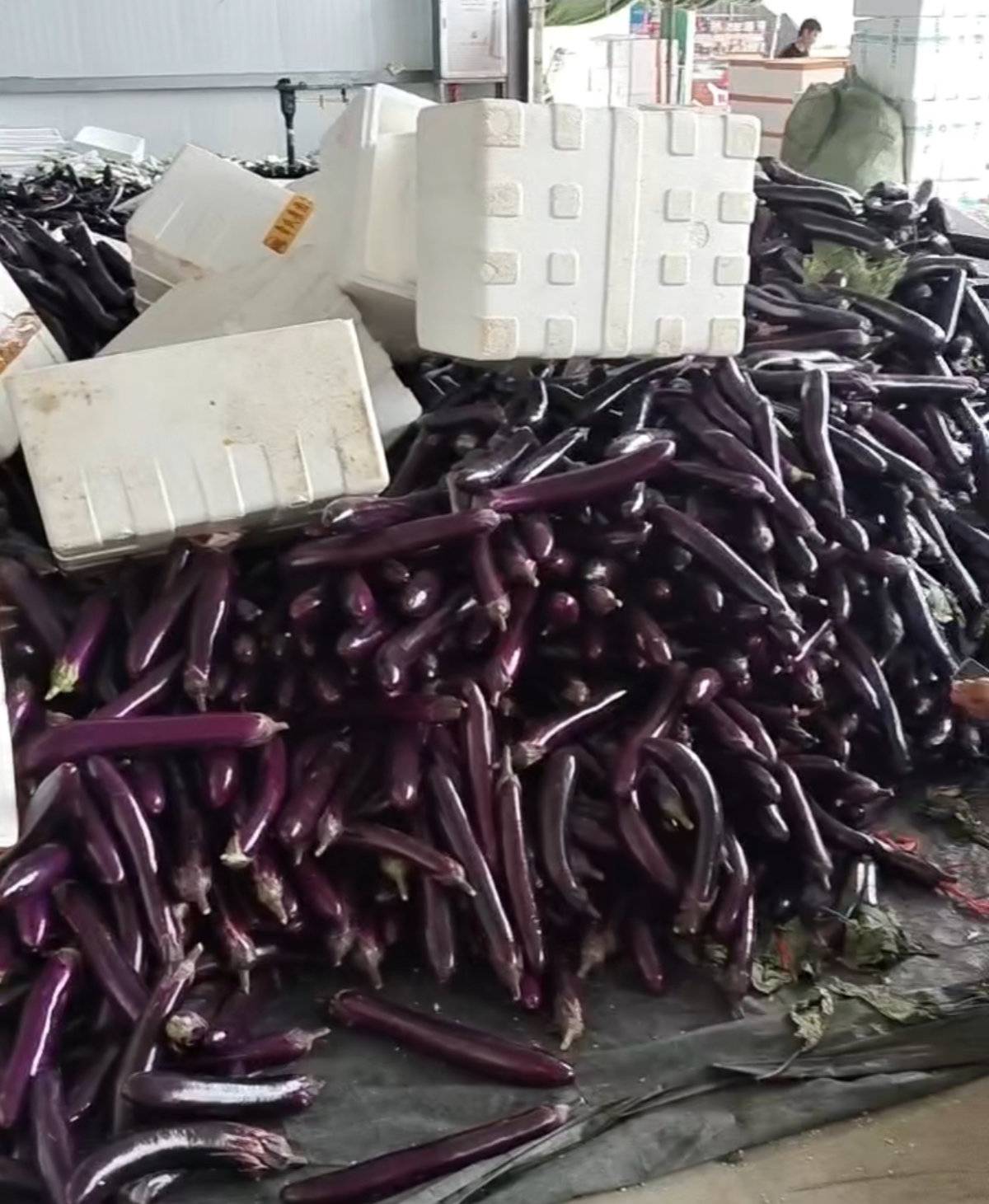 海南运费崩盘!卡友:货主菜也不要了