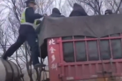 ����������?����������6���˱�������ͣ