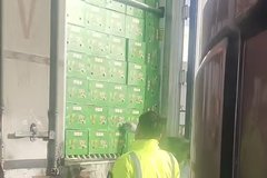 Υ������� �Ϲ���ͨ����ȴ����������