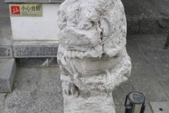 �����𣿻���˾��ײ��ʯʨ�ӱ�����60��