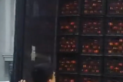 ���ϱ߼�վһ�������ӱ����19.5����Ҷ